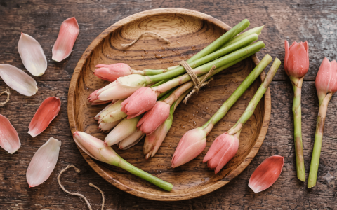 Fresh pink Torch Ginger buds (Bunga Kantan / Kecombrang) arranged on a wooden plate for cooking and medicinal use.