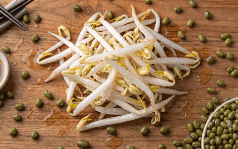 Premium plump Ipoh taugeh mung bean sprouts macro photography food styling